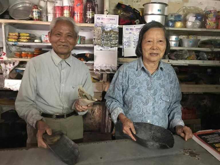 Origins of the Mauritian Chinese Community